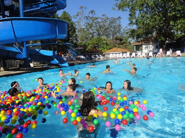 Organização Recreação Atividad