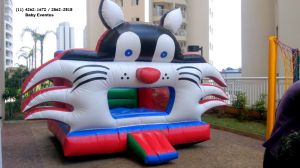 pula gato gato