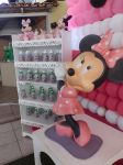 festa minie