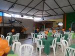 festa dinossalros