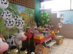 festa fazendinha