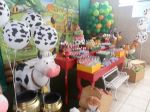 festa fazendinha