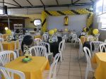 festa abelhinha