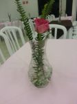 Casamento Celeste e Lindomar - 16/03/13