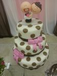 Casamento Celeste e Lindomar - 16/03/13