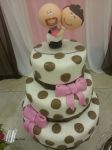 Casamento Celeste e Lindomar - 16/03/13