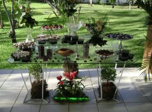 CACAU EVENTOS X