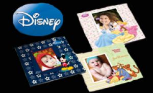 disneyflfm copy.jpg