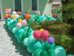 A 005 - CAMINHO DE JARDIM COM FLORES