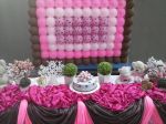 Nilma Marrom e Rosa 12/04/2014