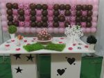 Taise Marrom e Rosa 03/04/2014