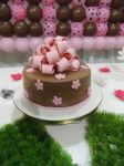Taise Marrom e Rosa 03/04/2014