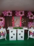 Darcy Siqueira Marrom e Rosa 08/08/2014