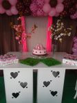 DDarcy Siqueira Marrom e Rosa 08/08/2014