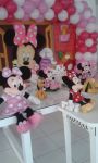 Andressa Minnie Rosa 06/09/2014