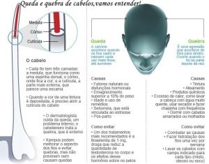 queda e quebra cabelo.jpg