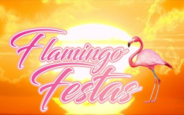 Flamingo Festas