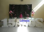 Decoração 15 anos com muro inglês B22
