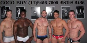 gogo boy 5