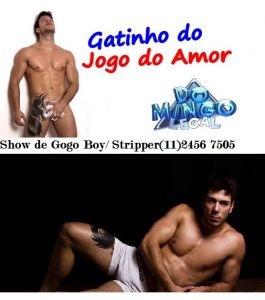 gogo boy 7