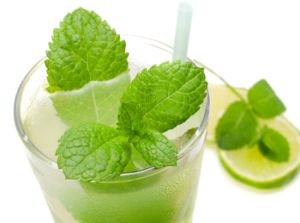 MOJITO DRINKS BUFFET OP&Ccedil;&Atilde;O