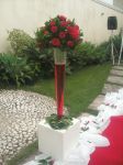 Tulipas gigantes