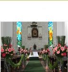 Flores rosas