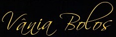 v�nia bolos artisticos