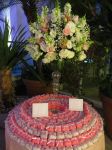 Bem casados Anastcia Rocha