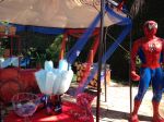 Festa Homem aranha