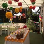 Festa Flores 40 anos