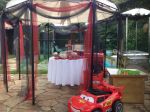 Festa bsica Carros da Disney