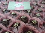 Doces para casamemto.