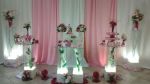 CASAMENTO ROSA E BRANCO 23/04/2016 COQUETEL COM ENTRADAS E PRATO FRIO