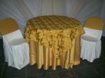 TOALHA DOURADA R$ 3,00 / COBRE MANCHA BROCADO DOURADO R$ 3,00 CADA