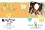 capa de dvd - 15 anos