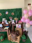 DECORACAO DE FESTA INFANTIL CAVALO SPIRIT  EM SO JOSE DOS CAMPOS