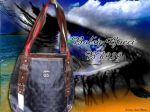 guccib929