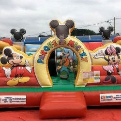 Parque do Mickey