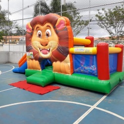 Kit Play Rei Leo 4 em 1 (Pula Pula , Piscina de Bolinha, escaladinha e tobog)