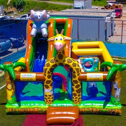 Kit Play Safari Parque