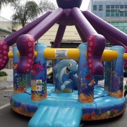 Pula Pula Infl�vel Polvo