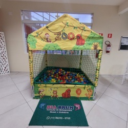 Piscina de Bolinha Zoo