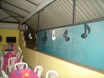 notas musicais festa teen