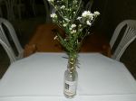 bodas de ouro