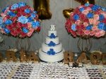 15 anos Maria Raquel