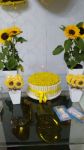 Festa girassol