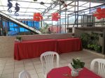 festa 50 anos