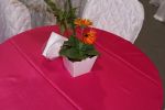 Mesas Social