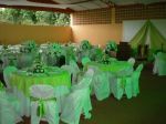 decorao verde pistache